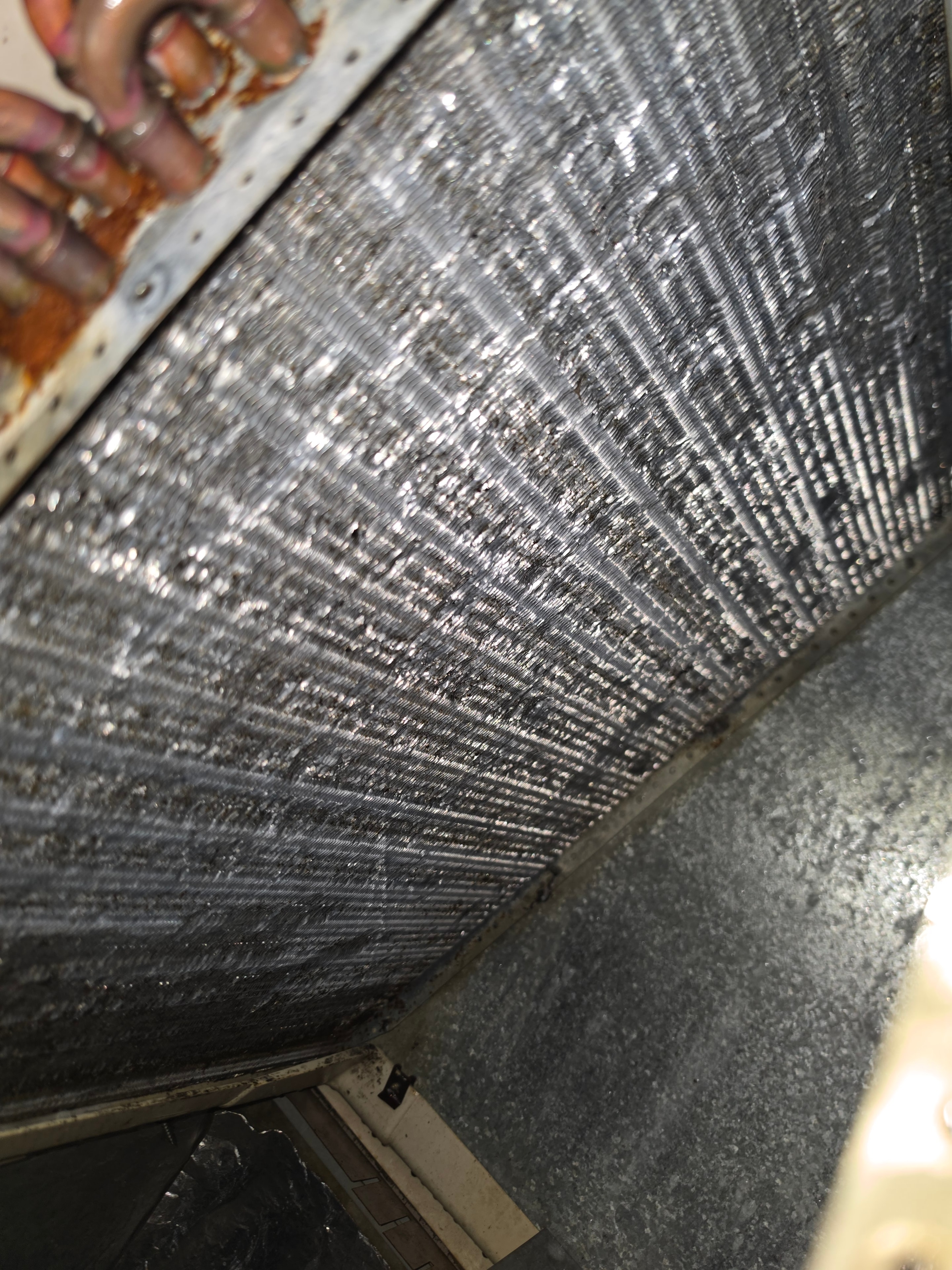 Clean evaporator coil after professional cleaning — Toms River NJ