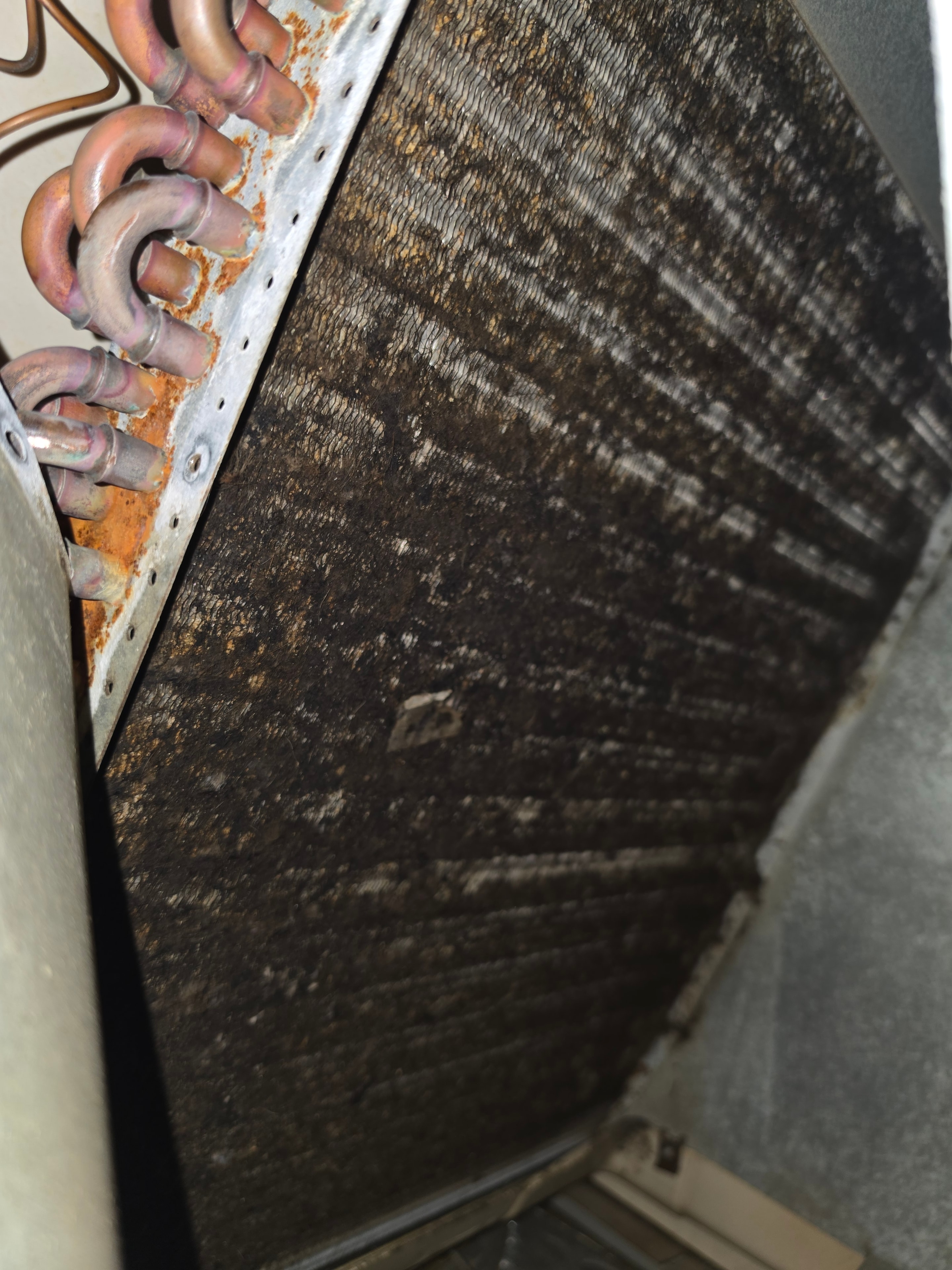 Heavily clogged evaporator coil before cleaning — Toms River NJ