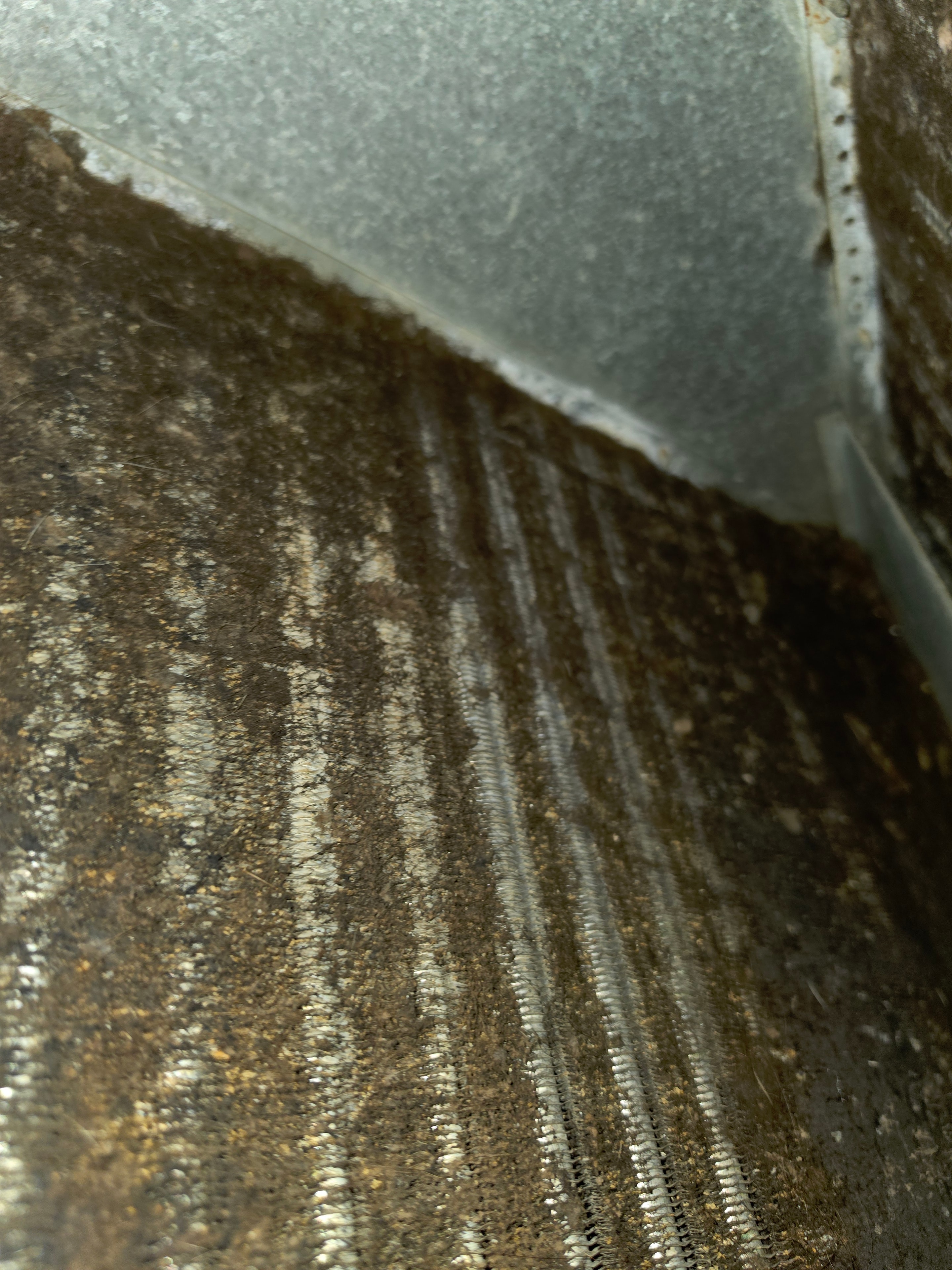 Close-up of dirty evaporator coil fins packed with debris before cleaning