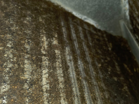 Close-up of dirty evaporator coil fins packed with debris before cleaning