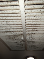 Dusty and moldy vent in Brick, NJ