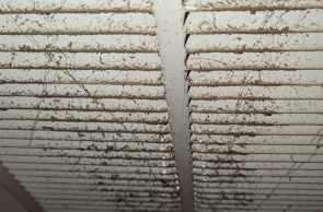 Dusty and moldy vent in Brick, NJ